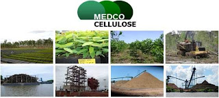 Lowongan Kerja 2013 Manager Port & Logistik MEDCO CELLULOSE Oktober 2012