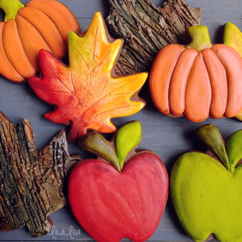 Brightly colored fall decorated chocolate sugar cookies - apples, pumpkins, leaves, bark texture