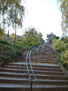 Visites guidées des parcs, jardins, espaces verts à Paris et Versailles