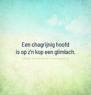 afbeeldingen met Nederlandse quotes