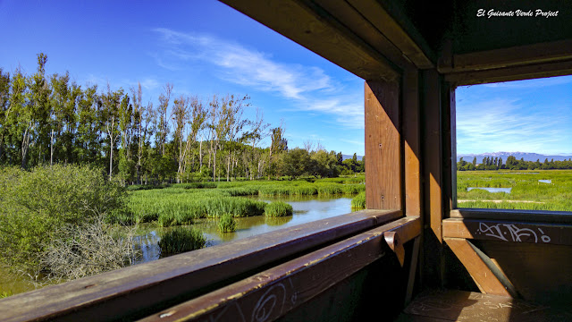 Parque de Salburua, interior observatorio de aves