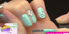 Sara Youtube Class! Rose flowerpot nail art