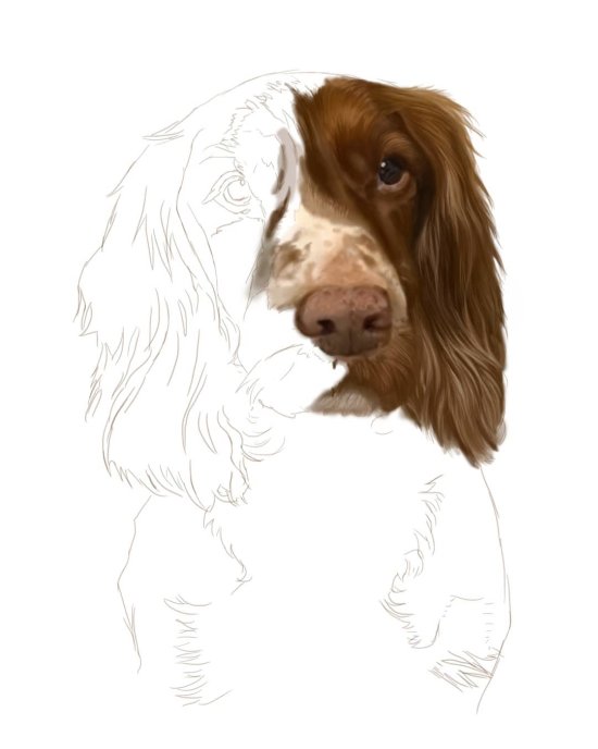 Joanna Smith instagram arte desenhos lápis animais cães hiper-realistas