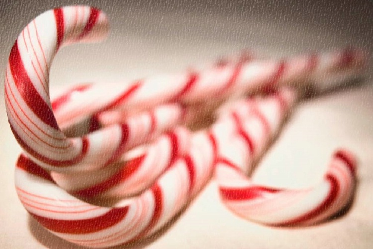 Prince Albert Candy Cane