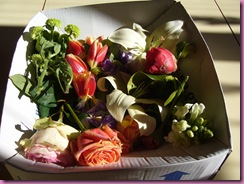 Março de 2009 021