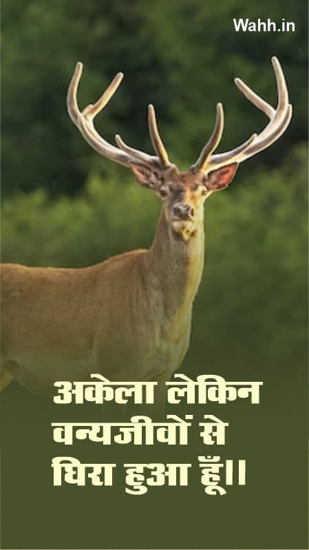alone captions in hindi