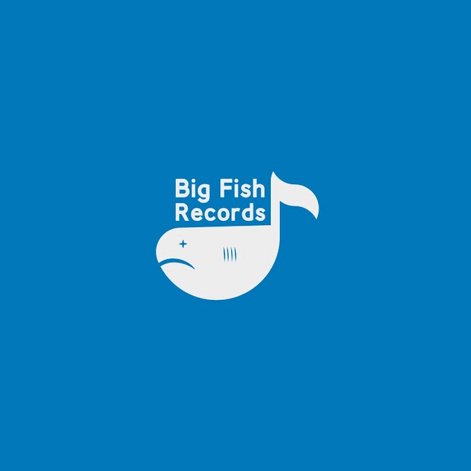 [Company Profile] All You should know about Big Fish Records