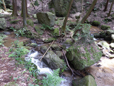 交野市・私市ハイキング  尺治川