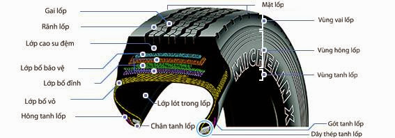 Nhà cung cấp vỏ xe chuyên nghiệp