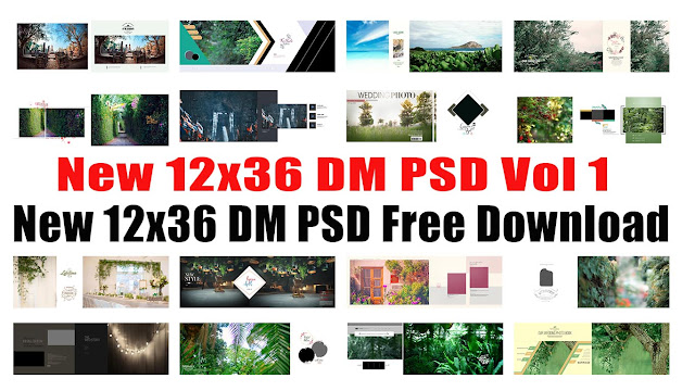 New 12x36 DM PSD Vol 1 Free Download 2023