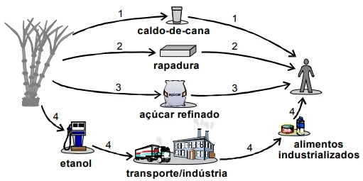 O esquema abaixo apresenta quatro alternativas dessa utilização.