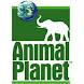 Watch Animal Plannet Online|Watch Animal Plannet Online