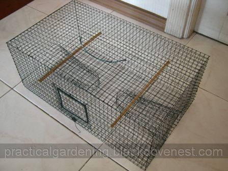 Slat Box Fish Traps  LZK Gallery