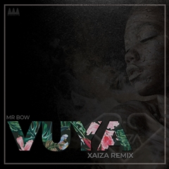 Mr Bow - Vuya (XAIZA Remix) (2019) 