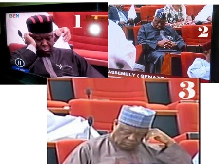 See Nigerian Senator Caught for the Third Time Sleeping in the Senate During Session (Photos)