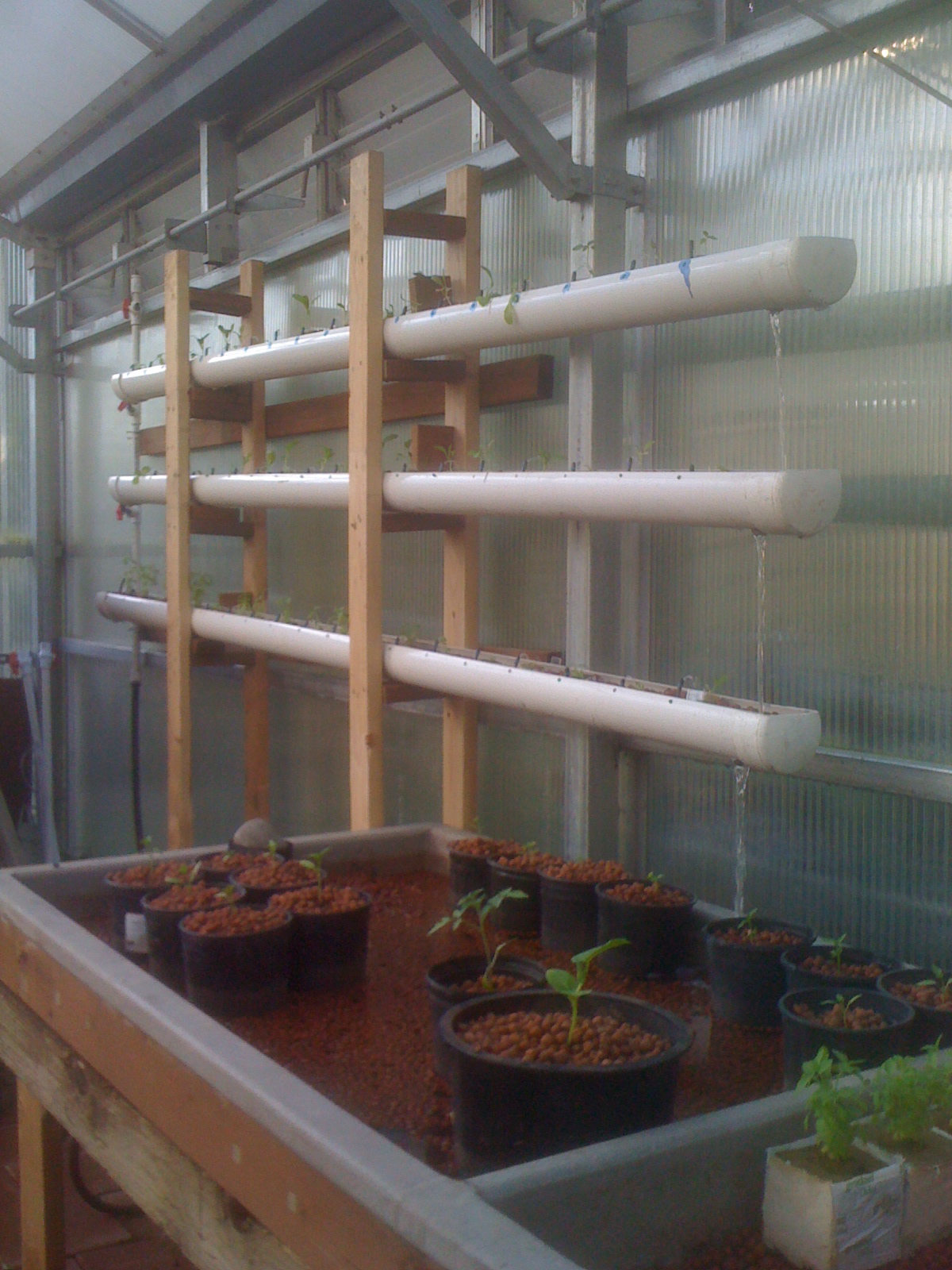 the Hydroponics System to an Aquaponics System (Part 3) -NFT System