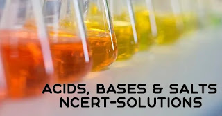 NCERT Solutions for Class 10 Science Chapter 2 Acids, Bases and Salts