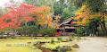 秋の上賀茂神社[2] 紅葉が意外とキレイ！
