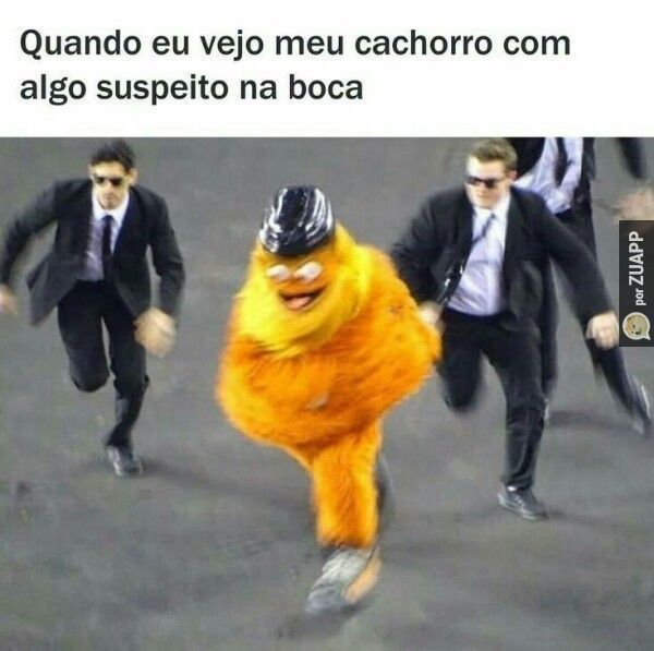 Rir é o melhor remédio: 40 memes para alegrar o seu dia!