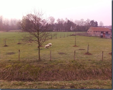 Photo-21