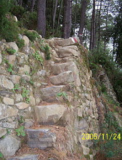 Terrace with stone steps, Cinque Terre.