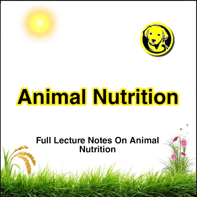 FREE Download Full Pdf Of Animal Nutrition