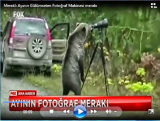 Doğa Fotoğrafcısı Kanada'da Milli Parkta gördüğü ayıyı görüntülemek için durdu