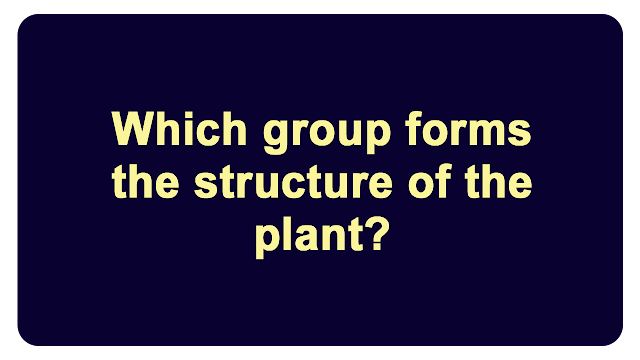 Which group forms the structure of the plant?