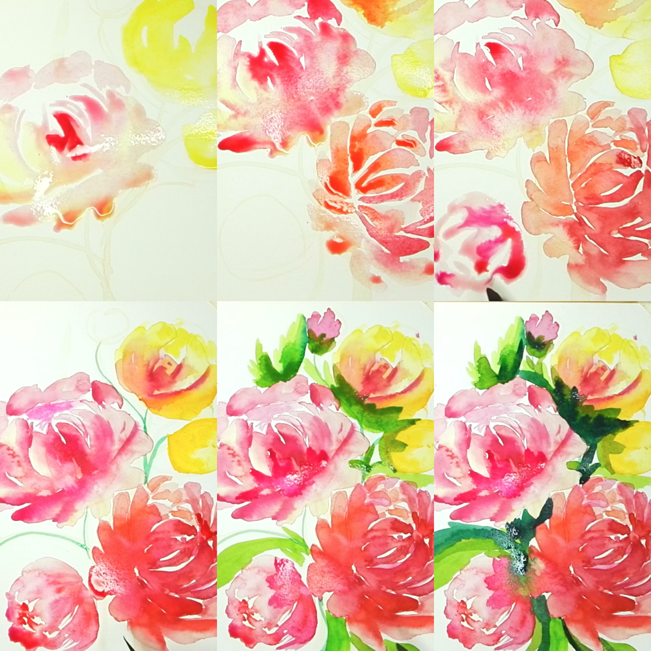 How to draw watercolor peony step by step tutorial easy