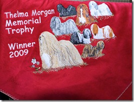 Blanket 102