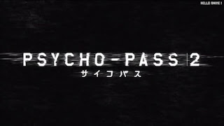 PSYCHO-PASS サイコパス アニメ 主題歌 2期 OPテーマ Enigmatic Feeling 凛として時雨 Season 2 OP