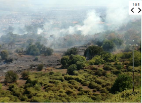 http://www.lasicilia.it/gallery/home/98457/san-gregorio-in-fiamme-riserva-micio-conti.html