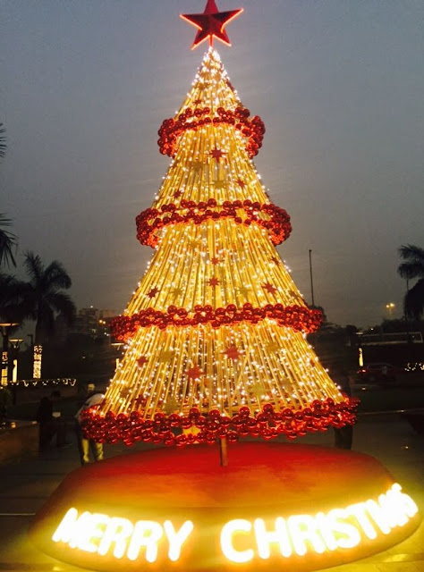 Brightest Christmas Tree in Town_DLF Promenade