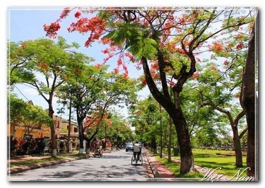 Cảnh Đẹp Việt Nam