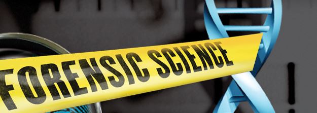 Modern Money: Five Careers Coming to the Forensics Field