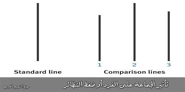 تأثير الجماعة على الفرد أو ضغط النظائر