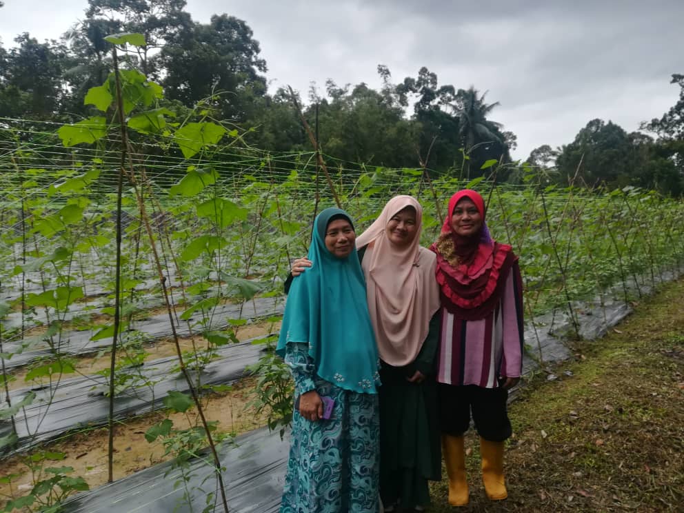 Ahli Jawatankuasa PUOK, sesi 2019