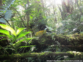 camiguin,hibok-hibok,volcano,mountain,mountaineering,panaad,walkway,station of the cross,lenten,volcano,mountaineering,philippine travel,philippine mapping,schadow1 expeditions,backpacking