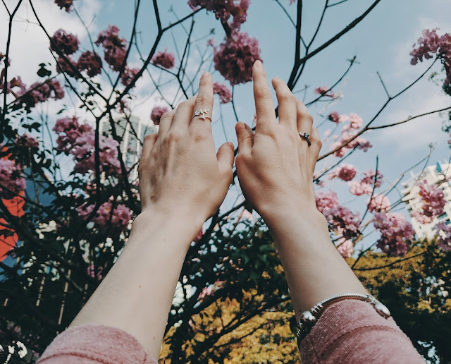 A pair of hands with rings on each hands and reaching out to pink flowers.