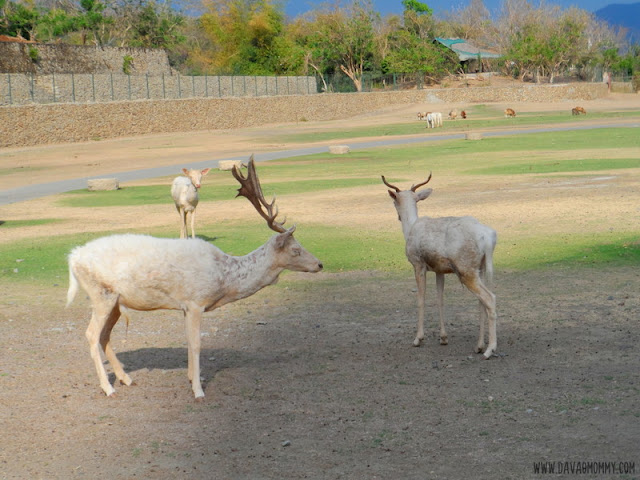 Baluarte Vigan Ilocos