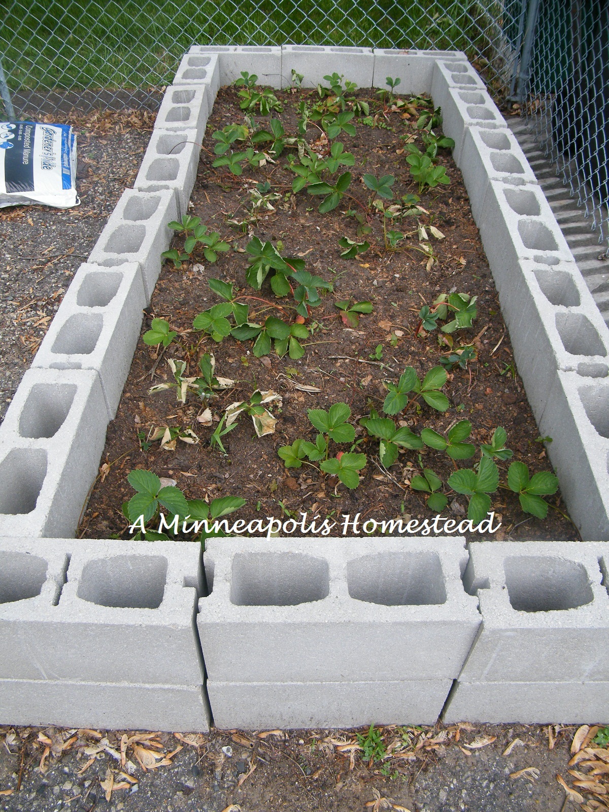 Concrete Block Raised Bed Garden