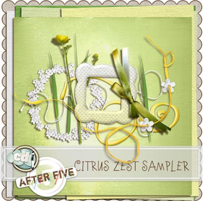 http://nathylilblog.blogspot.com/2009/05/happy-international-scrapbooking-day_03.html