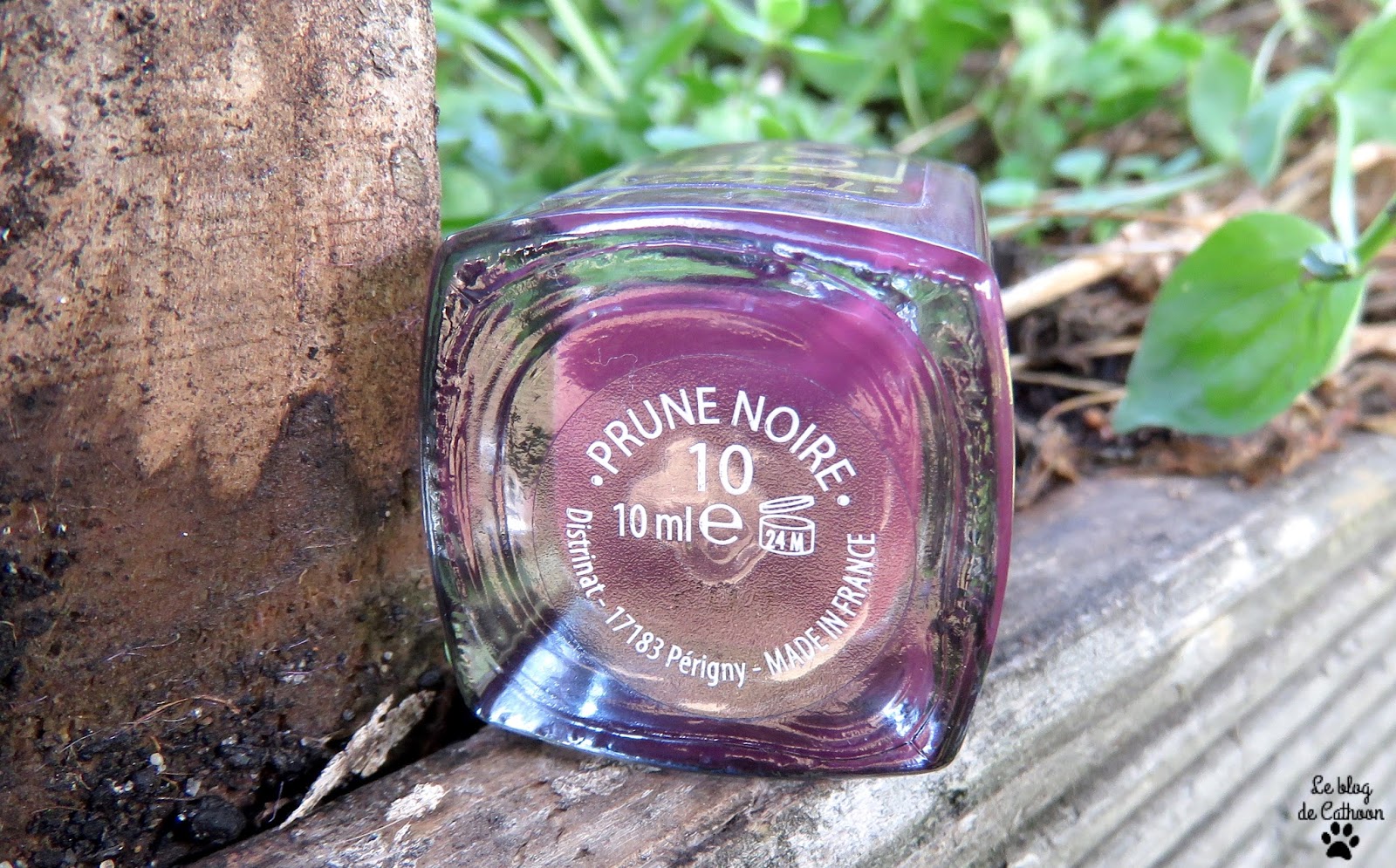 10 Prune Noire - Vernis à Ongles - So'Bio étic Natural'