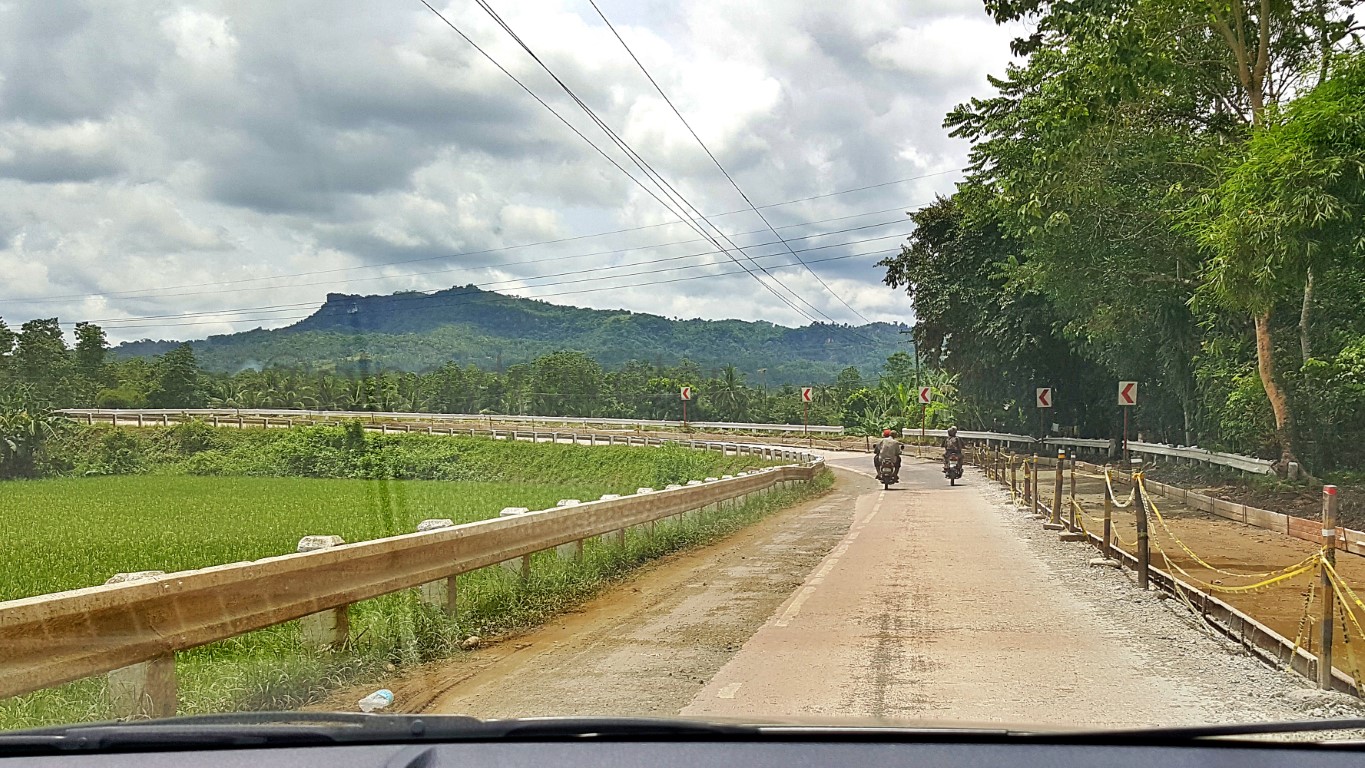 entering Alicia from Pilar or Ubay amid rice fields and distant hills