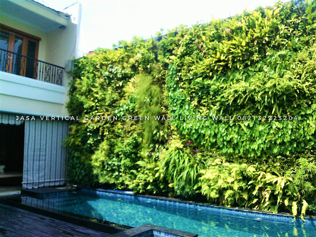 JASA PEMBUATAN VERTICAL GARDEN DENPASAR BALI, JASA VERTICAL GARDEN DENPASAR BALI, JASA TUKANG TAMAN VERTICAL DENPASAR BALI, JASA PEMBUATAN DINDING HIDUP DENPASAR BALI, JASA PEMBUATAN DINDING HIJAU DENPASAR BALI, roof garden murah, roof garden design, roof garden minimalis, roof garden sederhana, roof garden detail, roof garden medan, roof garden semarang, drainasecell roof garden, versicel roof garden, roof garden indonesia, roof garden DENPASAR BALI, roof garden system, roof garden, roof garden adalah, drainasecell, versicell, alat roof garden, cara membuat roof garden, peralatan roof garden, roof top, top roof garden, taman dak atas, cara membuat taman dak, taman atap roof garden, taman roof garden, roof garden apartment, tukang taman vertikal, vertikal garden murah, vertikal garden sederhana, taman vertikal dari botol bekas, taman vertikal murah, taman vertikal rumah minimalis, taman vertikal adalah, taman vertikal dalam rumah, taman vertikal, taman vertikal minimalis, taman vertikal anggrek, taman vertikal botol, taman vertikal di bandung, taman vertikal menggunakan botol bekas, taman vertikal dari batu bata, biaya taman vertikal, buat taman vertikal, contoh taman vertikal, cara taman vertikal, contoh taman vertikal garden, taman vertikal di rumah, taman vertikal di lahan sempit, taman vertikal di dinding, taman vertikal dinding, taman vertikal dengan paralon, taman vertikal depok, fungsi taman vertikal, foto taman vertikal, taman vertikal garden, taman gantung vertikal, gambar taman vertikal minimalis, cara membuat taman vertikal garden, gambar taman vertikal, griya taman vertikal, desain taman vertikal garden, taman vertikal hidroponik, taman vertikal harga, harga taman vertikal murah, taman vertikal indonesia, taman vertikal indoor taman vertikal italia, ide taman vertikal, vertical gardens, vertical gardening, wall garden, green wall, vertical gardening systems, wall planter, indoor vertical planter, planter, wall planters, green walls, greenwall, garden walls, plant wall, wall planters indoor, wall planters for outdoors, vertical blinds, vertical line, vertical farming, vertical integration, vertical angles, vertical radiators, vertical meaning, define vertical,