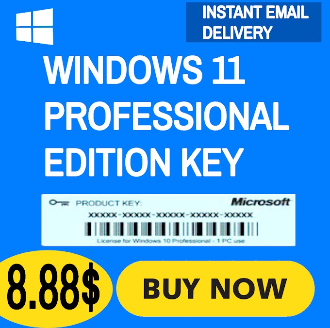 Windows 11 Pro Key Lifetime License Instant Delivery