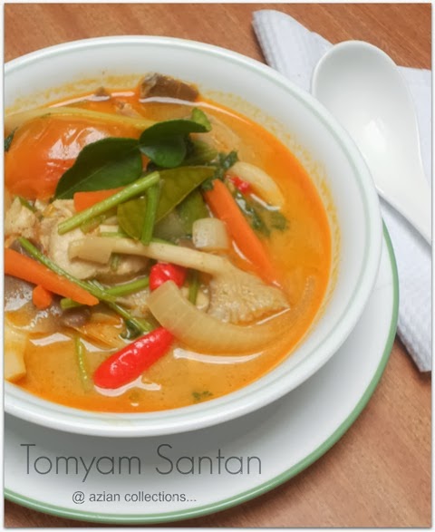 Azian Collections: Tomyam Santan