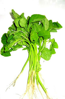 Green Spinach