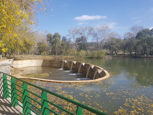 مدينة إفران سويسرا المغرب