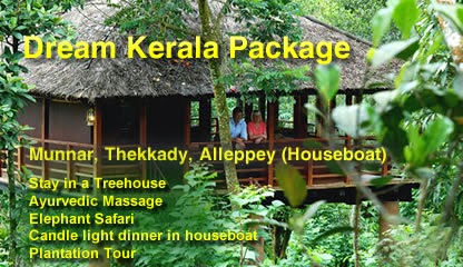 Kerala Honeymoon Packages